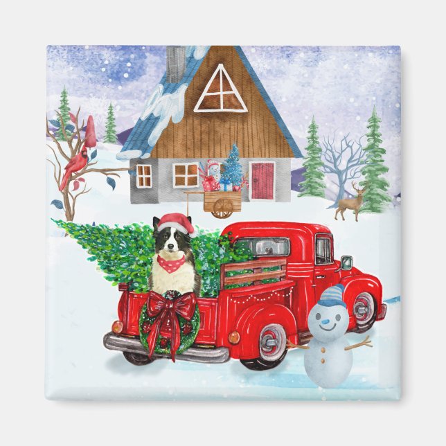 Border Collie hund i jul leveransbil snö Magnet (Framsidan)