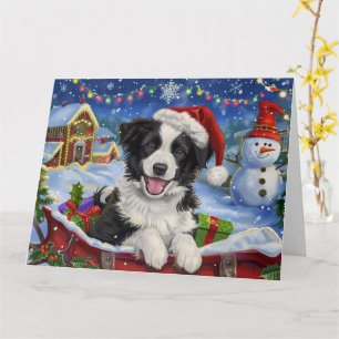 Border Collie Hund i släd snö jul Kort