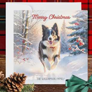 Border Collie Hund I Snö God Jul Julkort