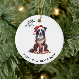Border Collie Hund insvept i julbelysning Julgransprydnad Keramik
