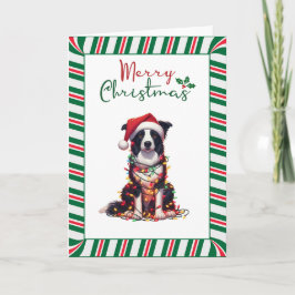 Border Collie Hund insvept i julbelysning Kort