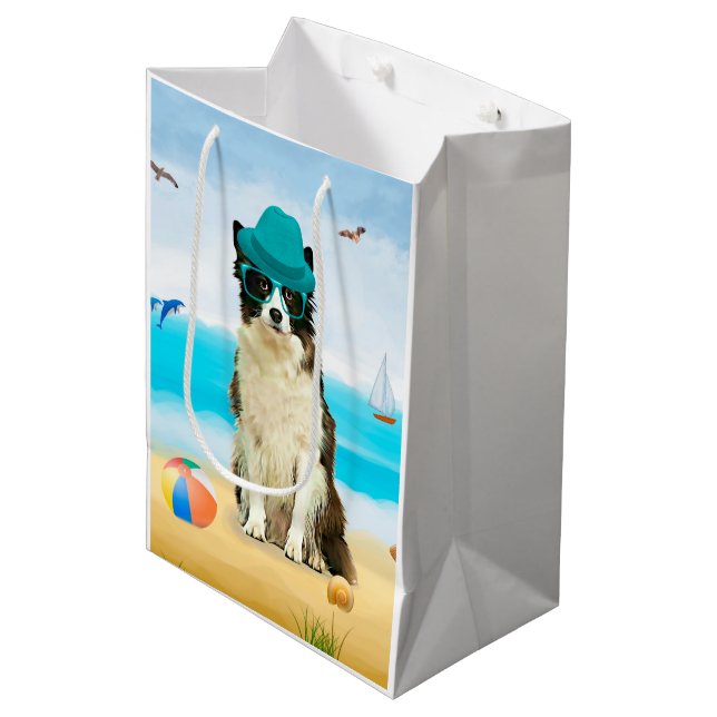 Border Collie Hund på Strand (Framsidan Vinklad)