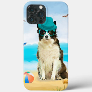 Border Collie Hund på Strand