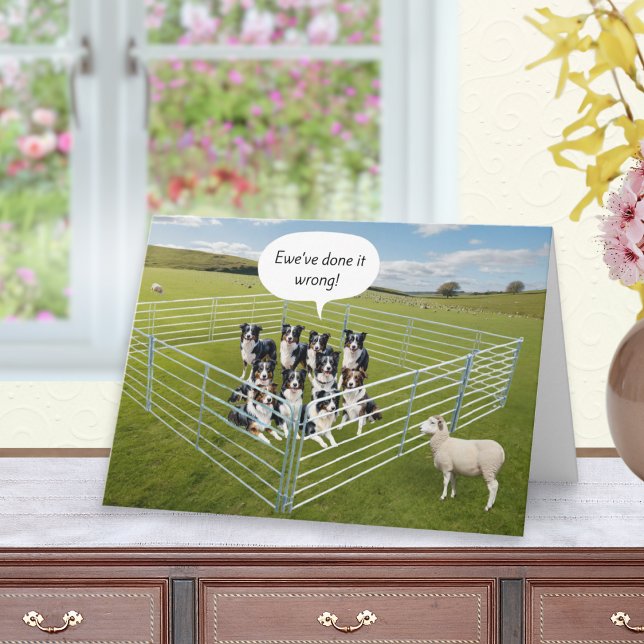 Border Collie Hundar och Får Rolig Födelsedag Kort (A funny birthday card with role reversal of sheep and border collie sheepdogs)