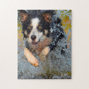 Border Collie hundar. Pussel