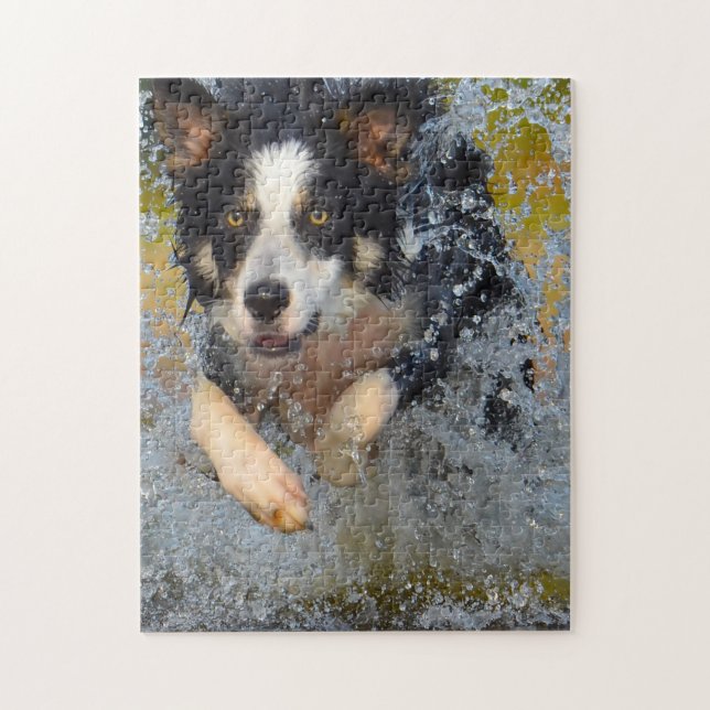 Border Collie hundar. Pussel (Vertikal)