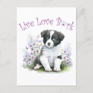 Border Collie Hundmamma Blommig Vykort