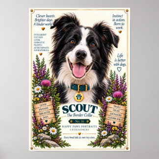 Border Collie Hundporträtt | Scout nr 16 Poster