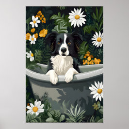 Border Collie i badkar Affisch, Rolig Hund Affisch