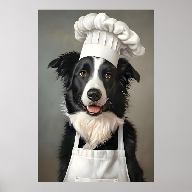 Border Collie i kockhatt affisch, husdjur affisch (Framsidan)