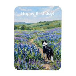 Border Collie i lila blommor Magnet