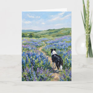 Border Collie i lila blommor tom Kort