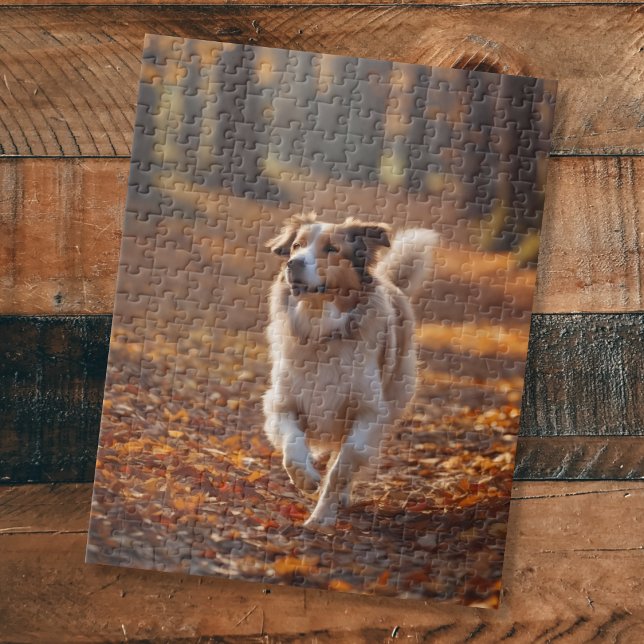 Border Collie i skogen Pussel (Skapare uppladdad)