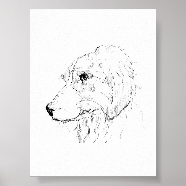 Border Collie-illustration – minimalistisk konst Poster (Framsidan)