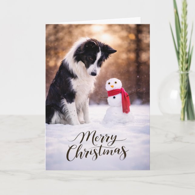 Border Collie Jul Tomte Kort (Framsida)