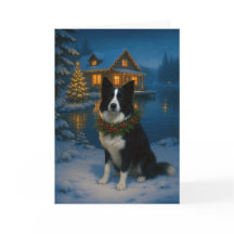 Border Collie Julkort