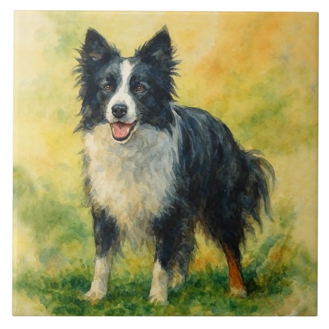 Border Collie Kakelplatta (Framsidan)