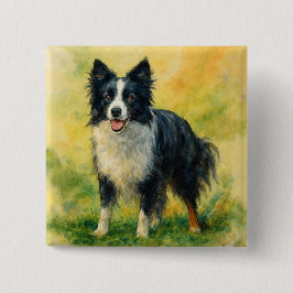 Border Collie Knapp