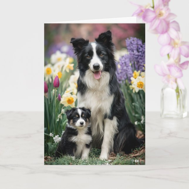 Border Collie Mamma Morsdags kärlek Kort (Orkide)