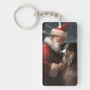 Border Collie Med Tomte Festive Jul