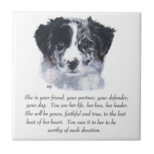 Border Collie-minnen Kakelplatta