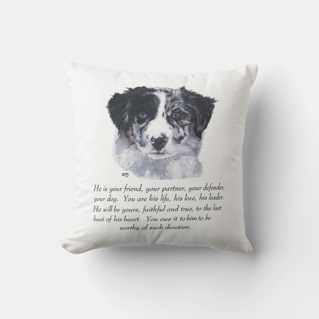 Border Collie-minnen Kudde (Framsida)
