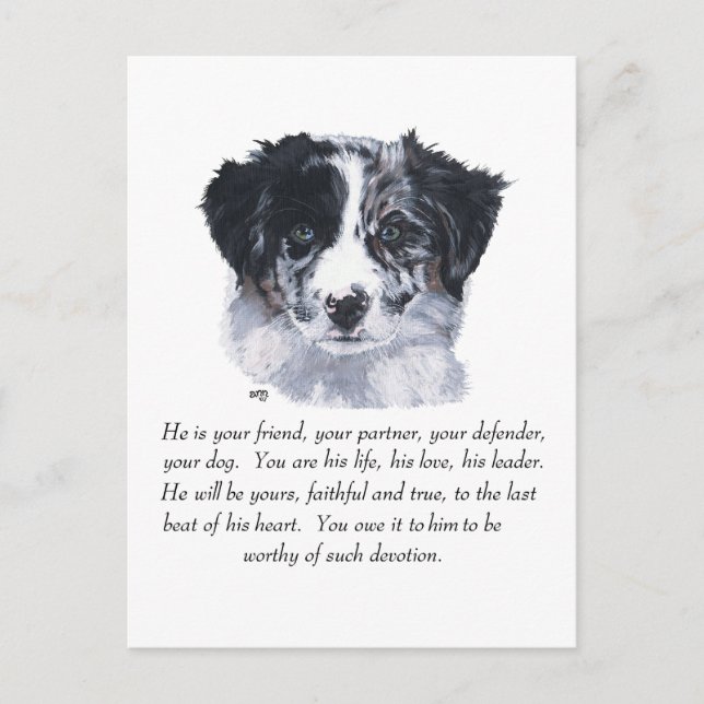 Border Collie-minnen Vykort (Framsida)