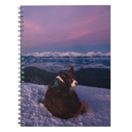 Border Collie on Snowy Mountain Peak at Sunset Anteckningsbok