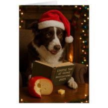 Border collie 'Ostskatt' julkort