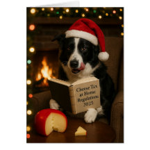 Border collie 'Ostskatt' julkort