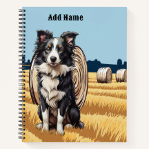 Border Collie på gård