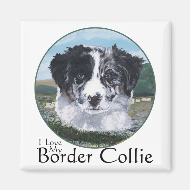 Border Collie på jobbet Magnet (Framsidan)