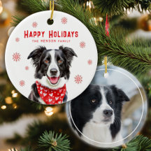 Border Collie Röd Hjärtbandana Jul Foto