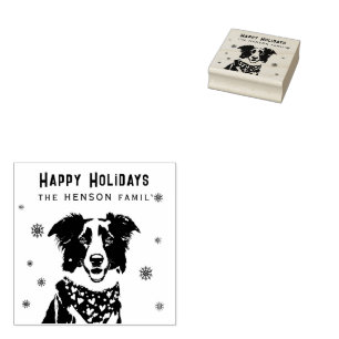 Border Collie Röd Hjärtbandana Jul Foto Stämpel