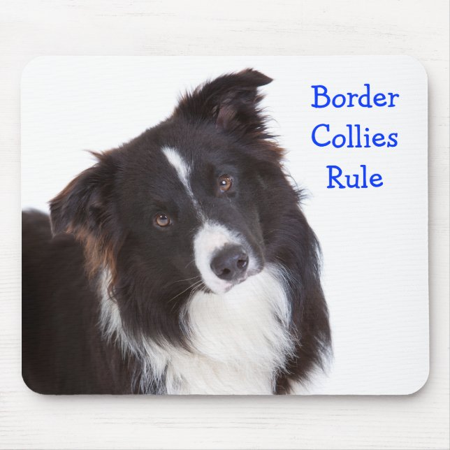 Border Collie Rule Musmatta (Framsidan)