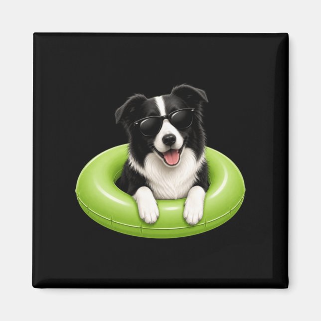 Border Collie sommartröja söt hund poolflotte Magnet (Framsidan)