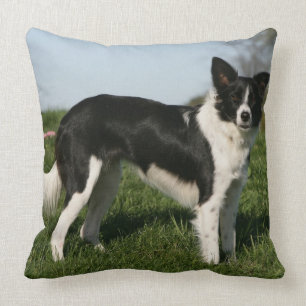 Border Collie Stående Kudde