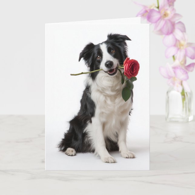 Border Collie Valentine – Hängivet hjärta Kort (Orkide)