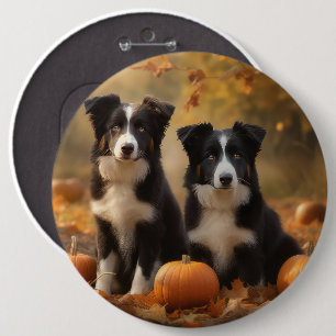 Border Collie Valp Höstglädje Pumpa Knapp