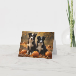 Border Collie Valp Höstglädje Pumpa Kort