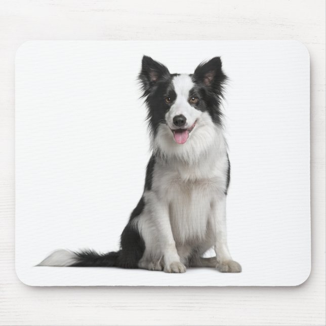 Border Collie Valp Hund Musmatta (Framsidan)