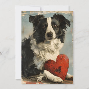 Border Collie Vintage Alla hjärtans dag Julkort