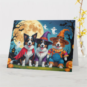 Border Collies Hundar Pumpa Halloween Rollig Kort