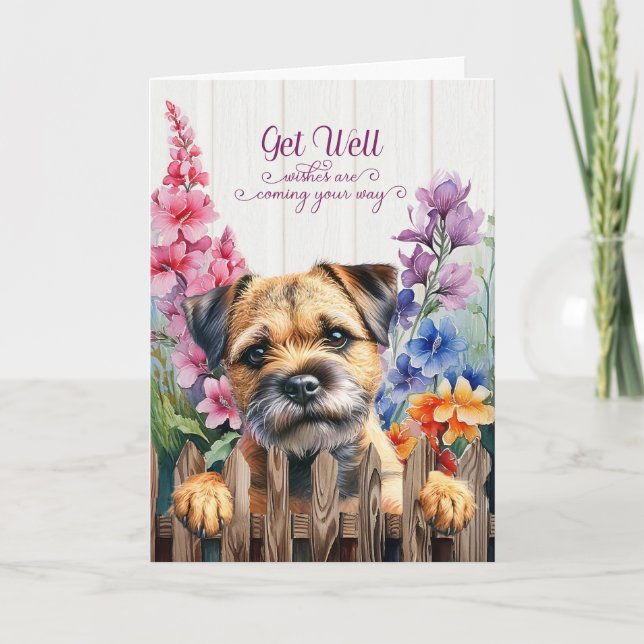 Border Terrier Dog with Gladiolus Garden Get Well Kort (Framsida)