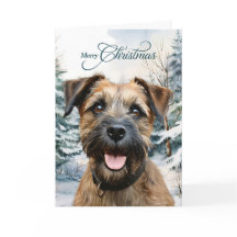 Border Terrier Hund Skogs Jul