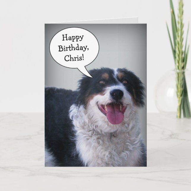 Bordercollie Birthday Card Kort (Framsida)
