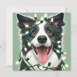 Bordercollie Platt Julkort