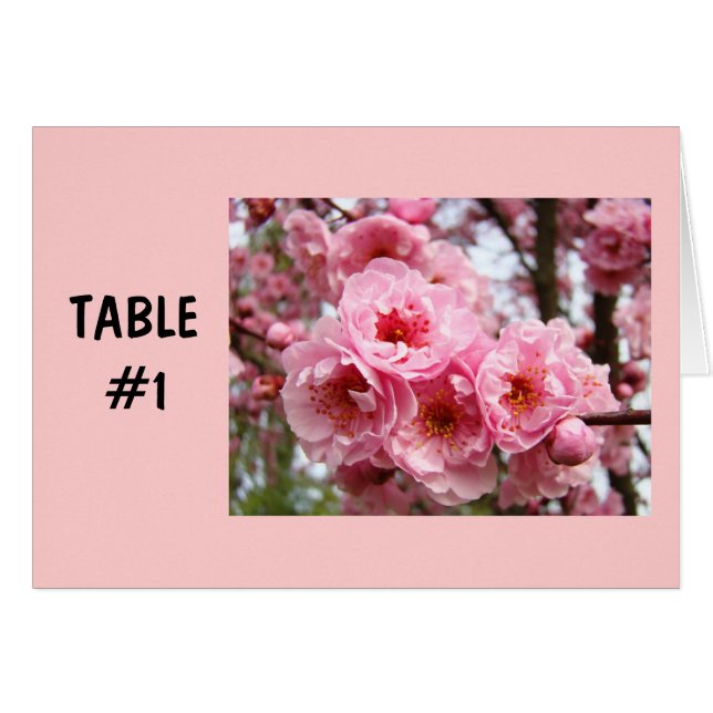 Bordnummerkort Rosa Blommor Vårfester OBS Kort (Framsidan Horizontal)