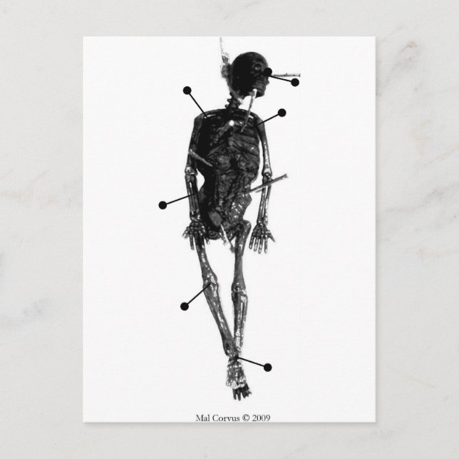 Bordsfartyg: Skeleton Witch Doll Vykort (Framsida)