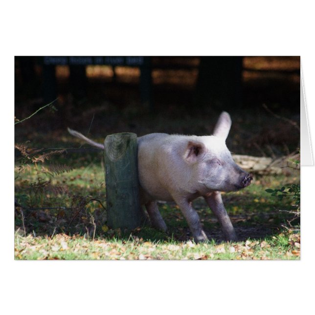 Bordskort i gris hälsningskort (Framsidan Horizontal)